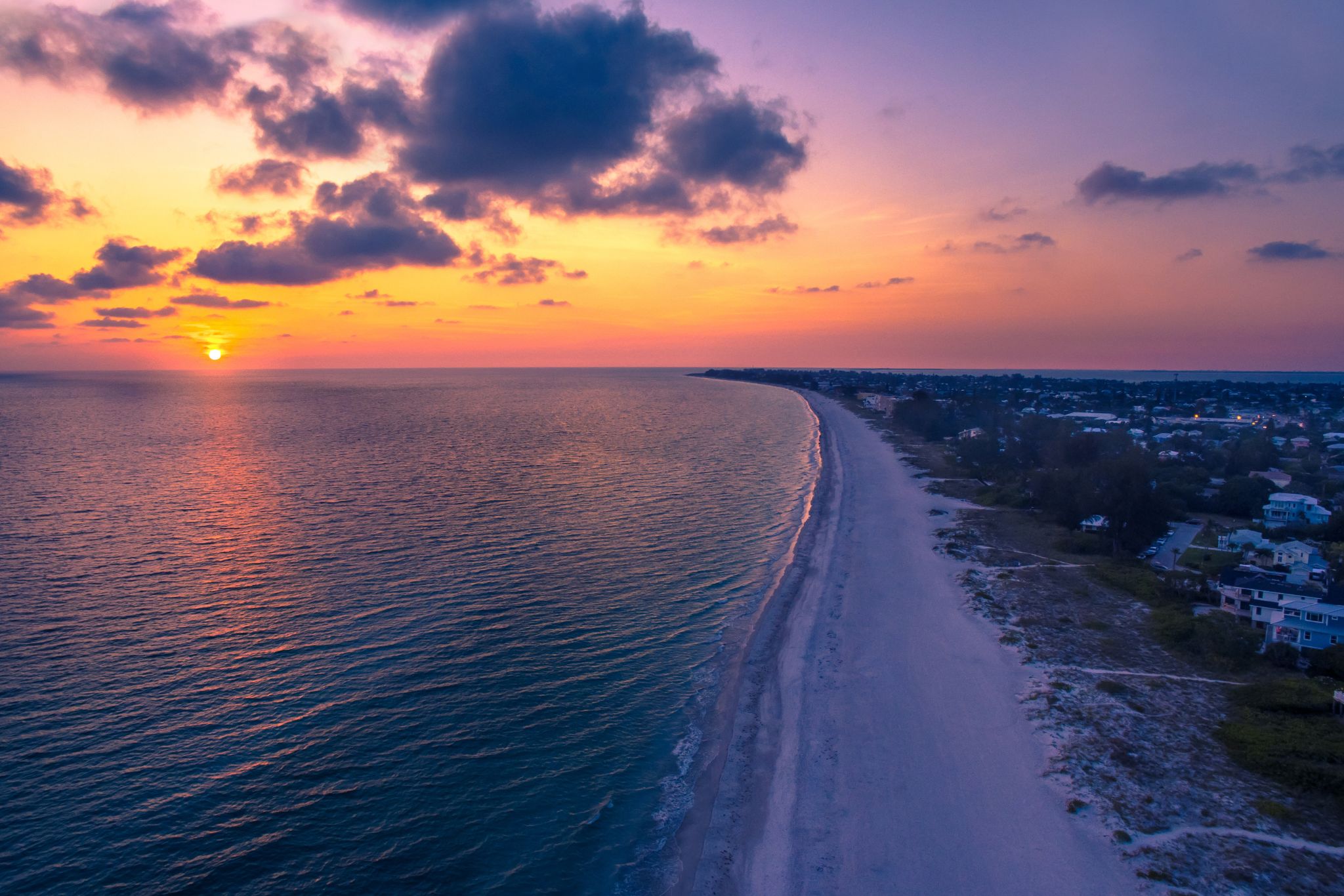 Calico Anna Maria Island