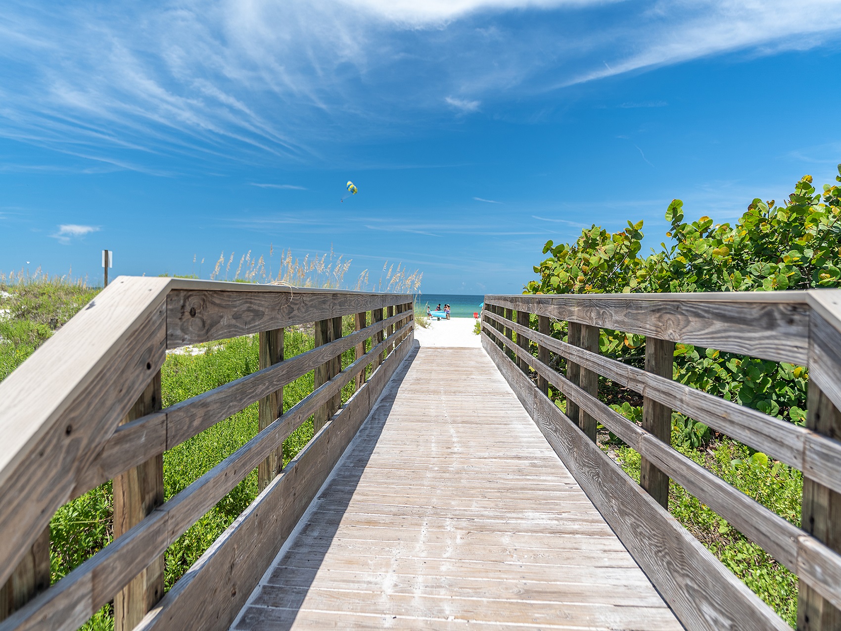 Calico Anna Maria Island